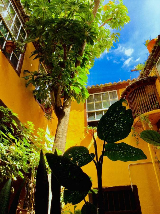 Casa Alves, Ultimo Tercio S. XVI Apartment Santa Cruz de la Palma  Exterior photo